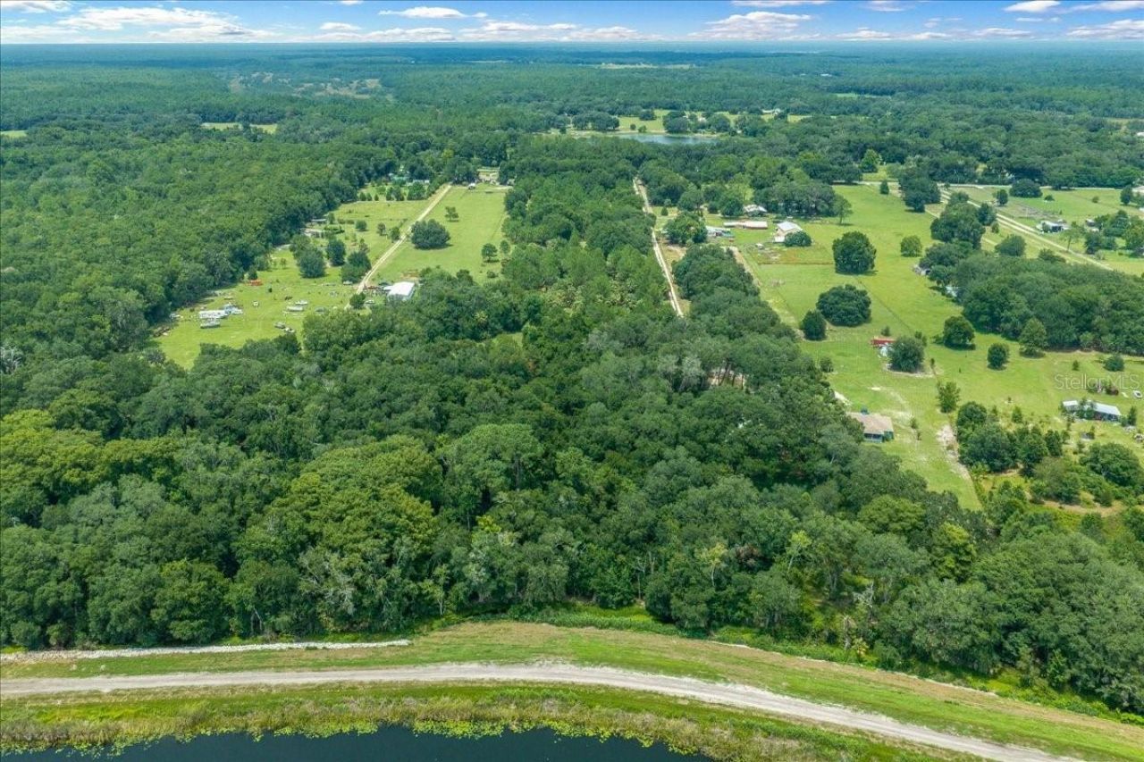 Tbd SE 95th St Rd, Ocklawaha, FL 32179 Photo