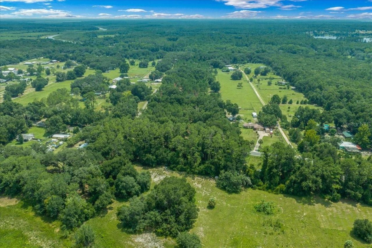 Tbd SE 95th St Rd, Ocklawaha, FL 32179 Photo