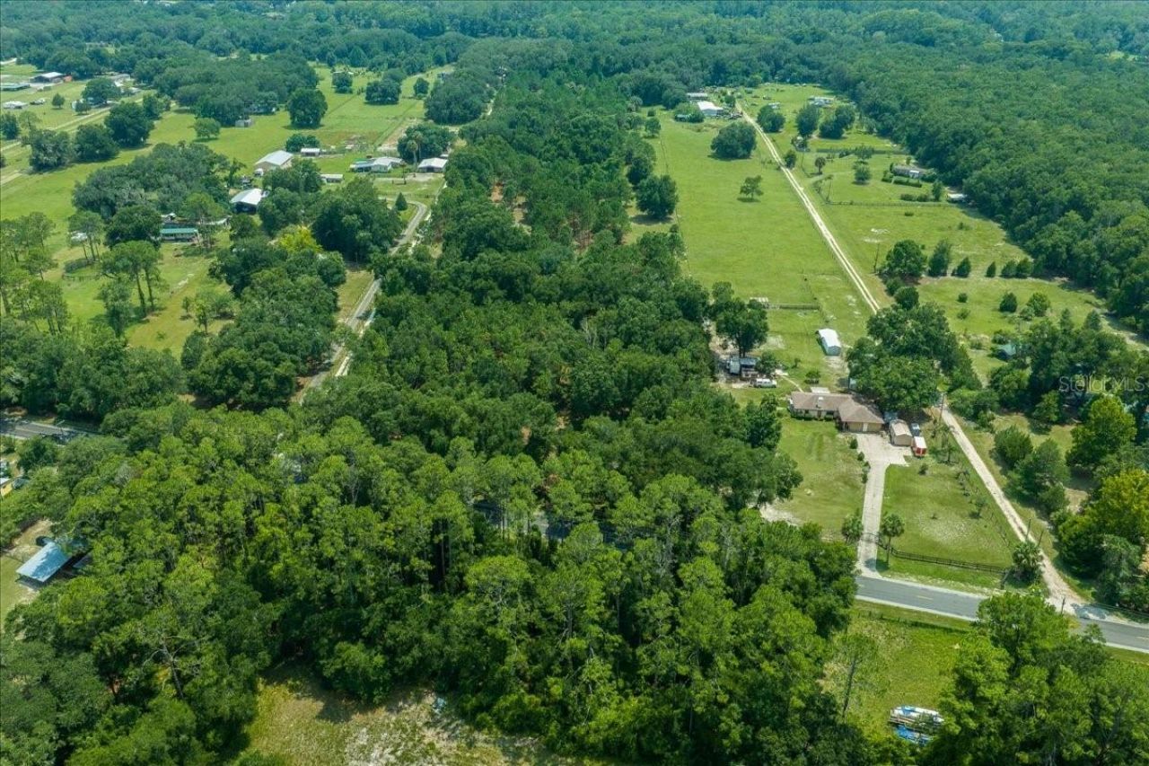 Tbd SE 95th St Rd, Ocklawaha, FL 32179 Photo