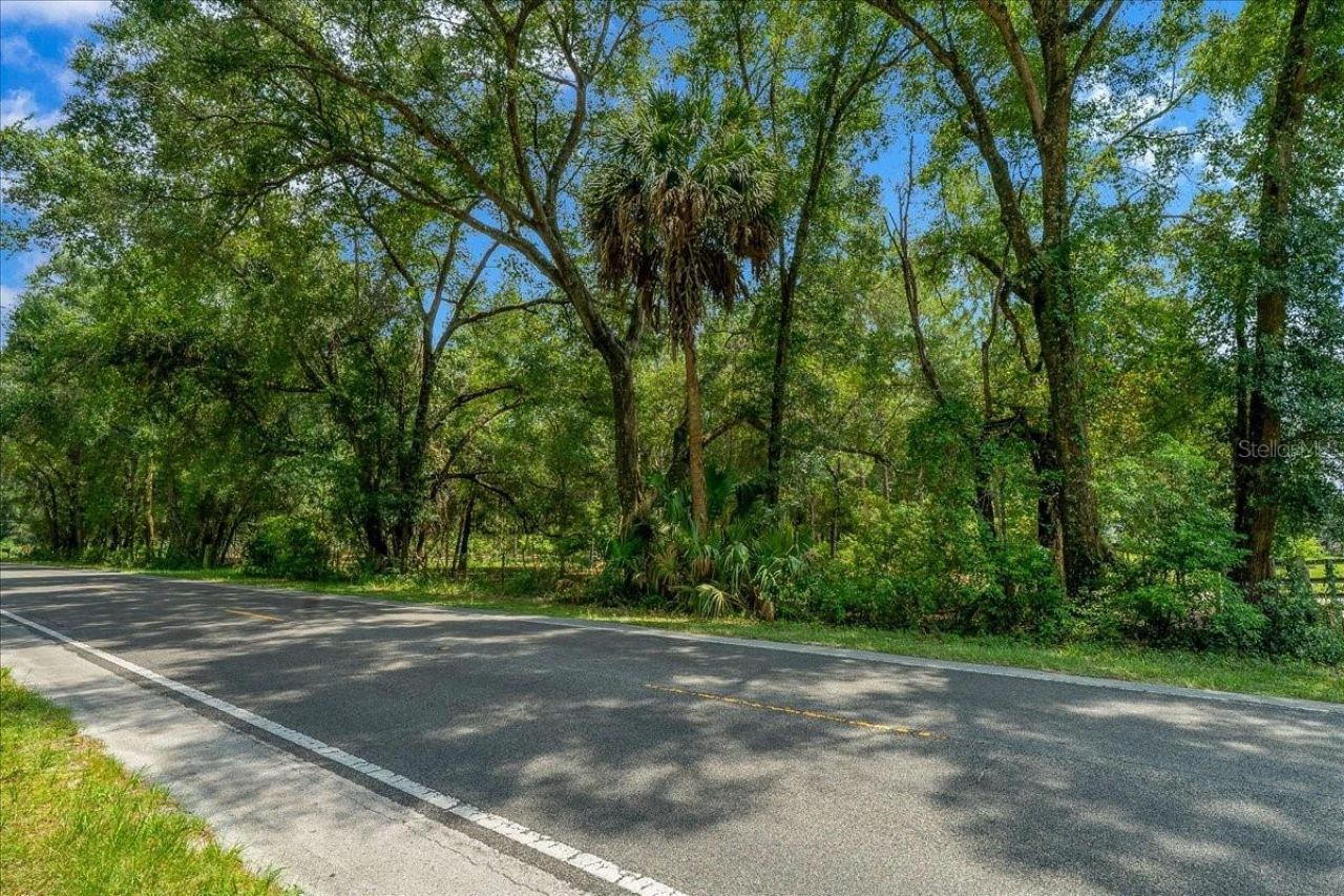 Tbd SE 95th St Rd, Ocklawaha, FL 32179 Photo