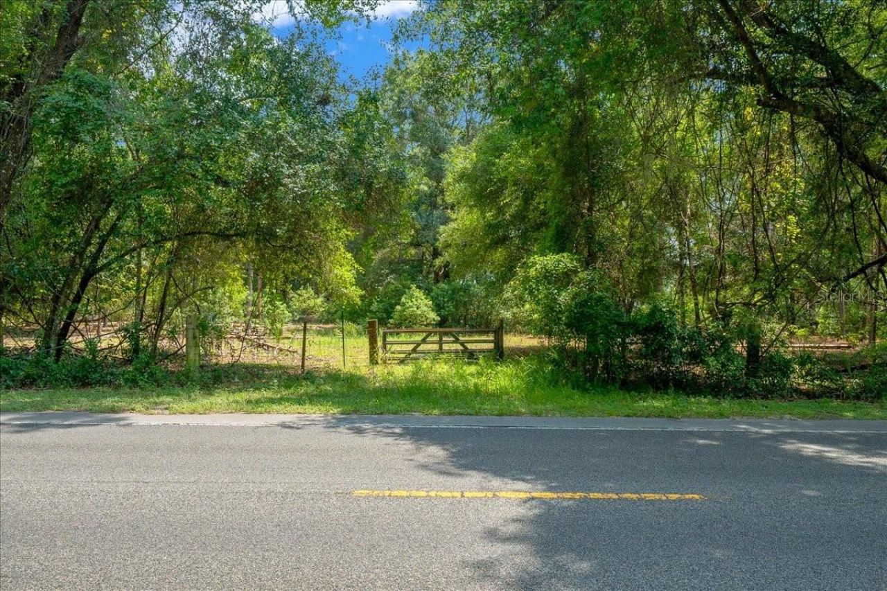 Tbd SE 95th St Rd, Ocklawaha, FL 32179 Photo