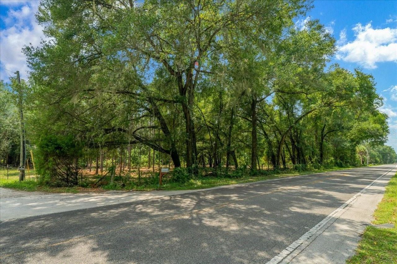 Tbd SE 95th St Rd, Ocklawaha, FL 32179 Photo