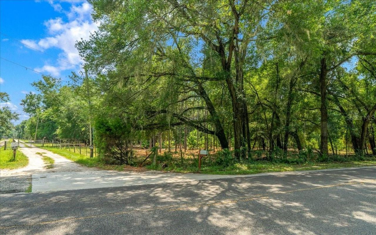 Tbd SE 95th St Rd, Ocklawaha, FL 32179 Photo