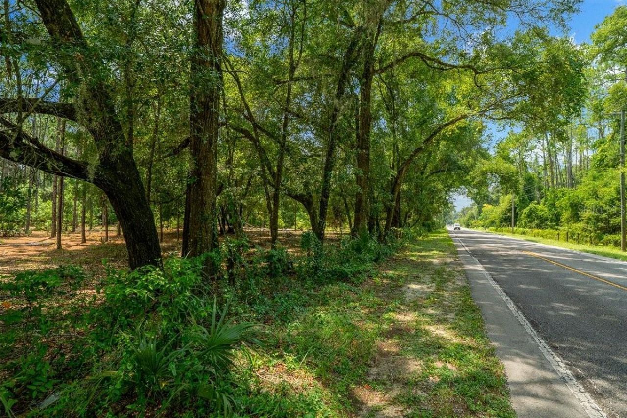 Tbd SE 95th St Rd, Ocklawaha, FL 32179 Photo