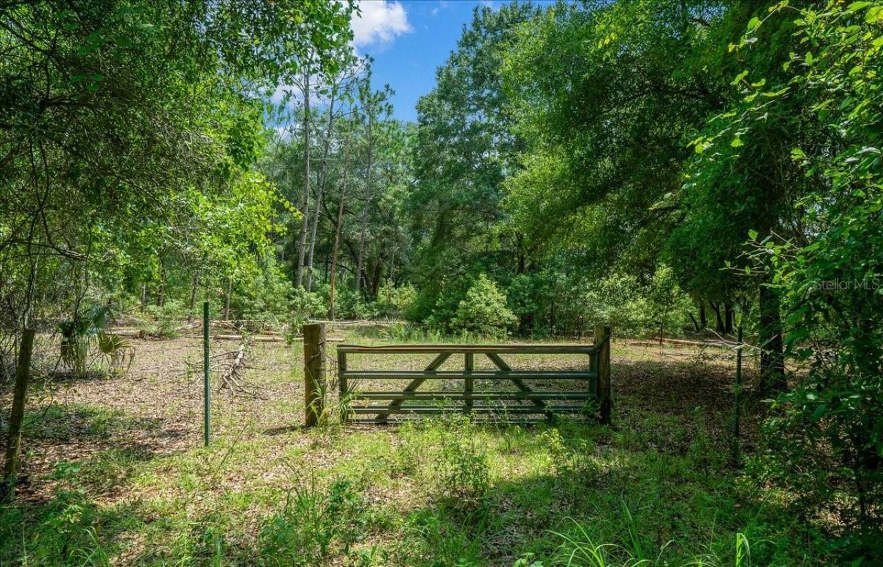 Tbd SE 95th St Rd, Ocklawaha, FL 32179 Photo