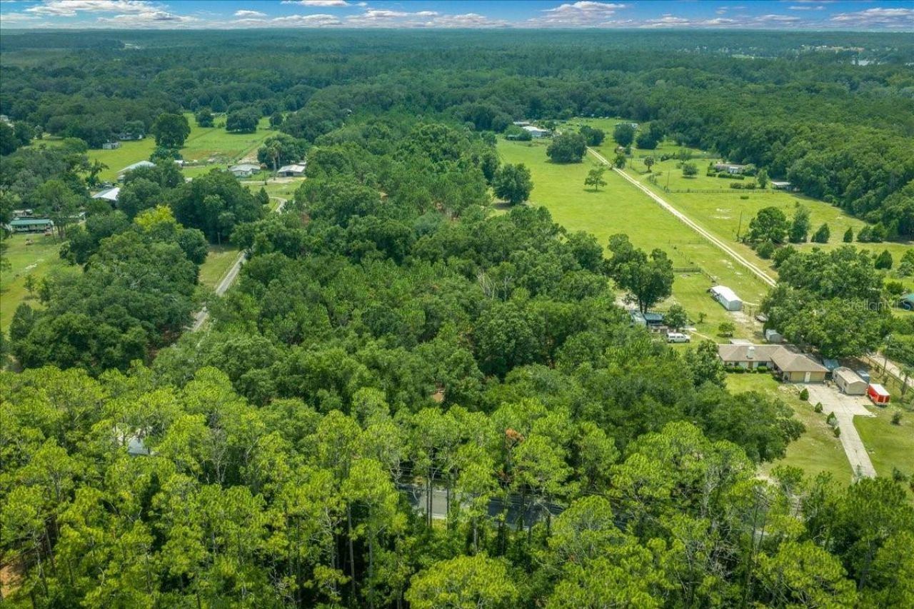 Tbd SE 95th St Rd, Ocklawaha, FL 32179 Photo