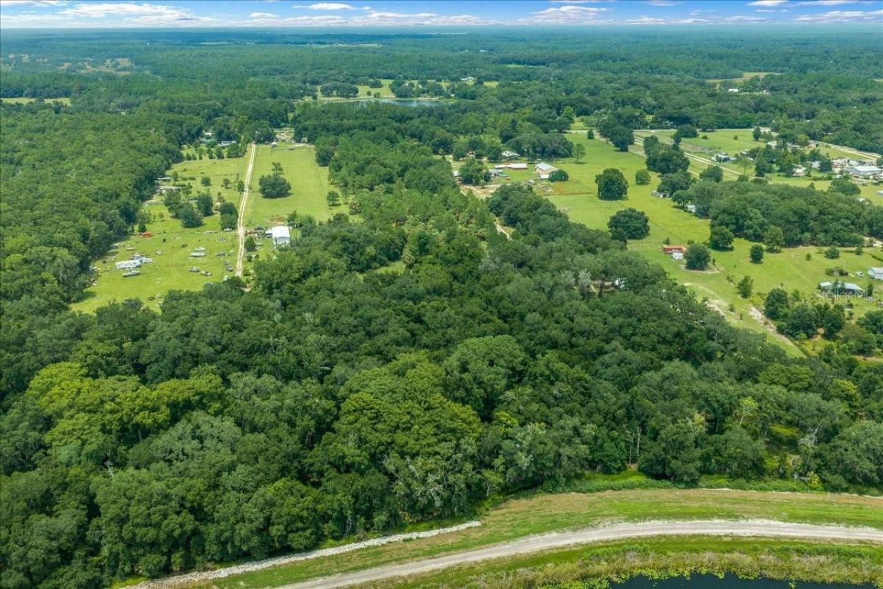 Tbd SE 95th St Rd, Ocklawaha, FL 32179 Photo