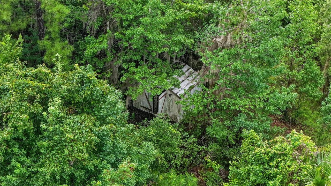 15958 W Hwy 318, Williston, FL 32696 Photo