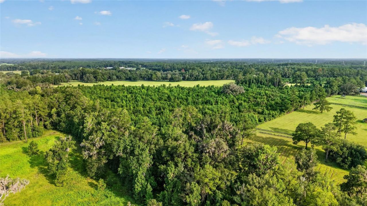 15958 W Hwy 318, Williston, FL 32696 Photo