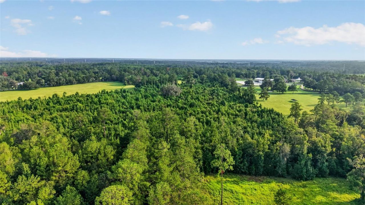 15958 W Hwy 318, Williston, FL 32696 Photo