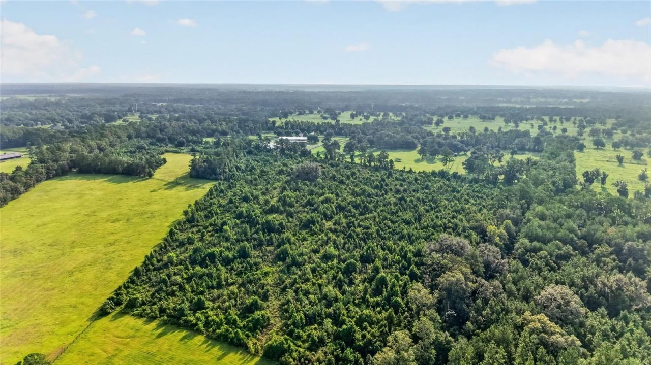 15958 W Hwy 318, Williston, FL 32696 Photo
