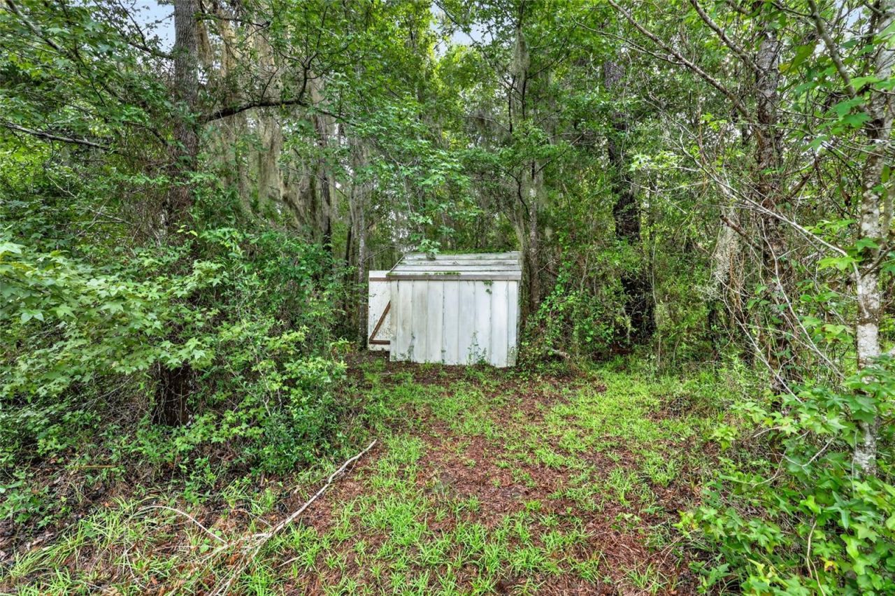 15958 W Hwy 318, Williston, FL 32696 Photo