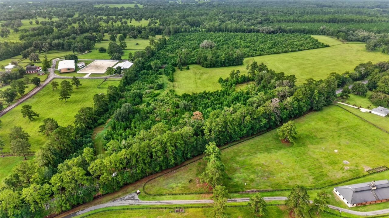15958 W Hwy 318, Williston, FL 32696 Photo