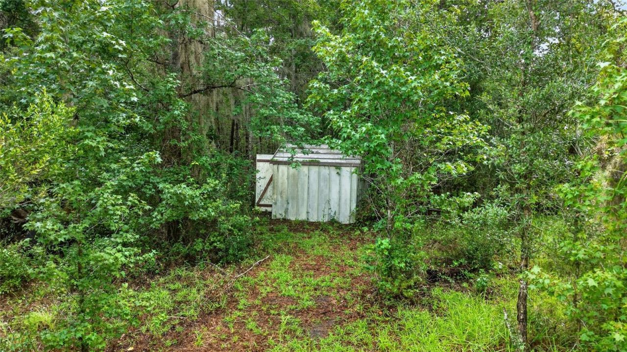 15958 W Hwy 318, Williston, FL 32696 Photo