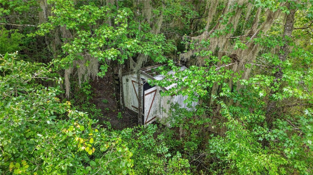 15958 W Hwy 318, Williston, FL 32696 Photo