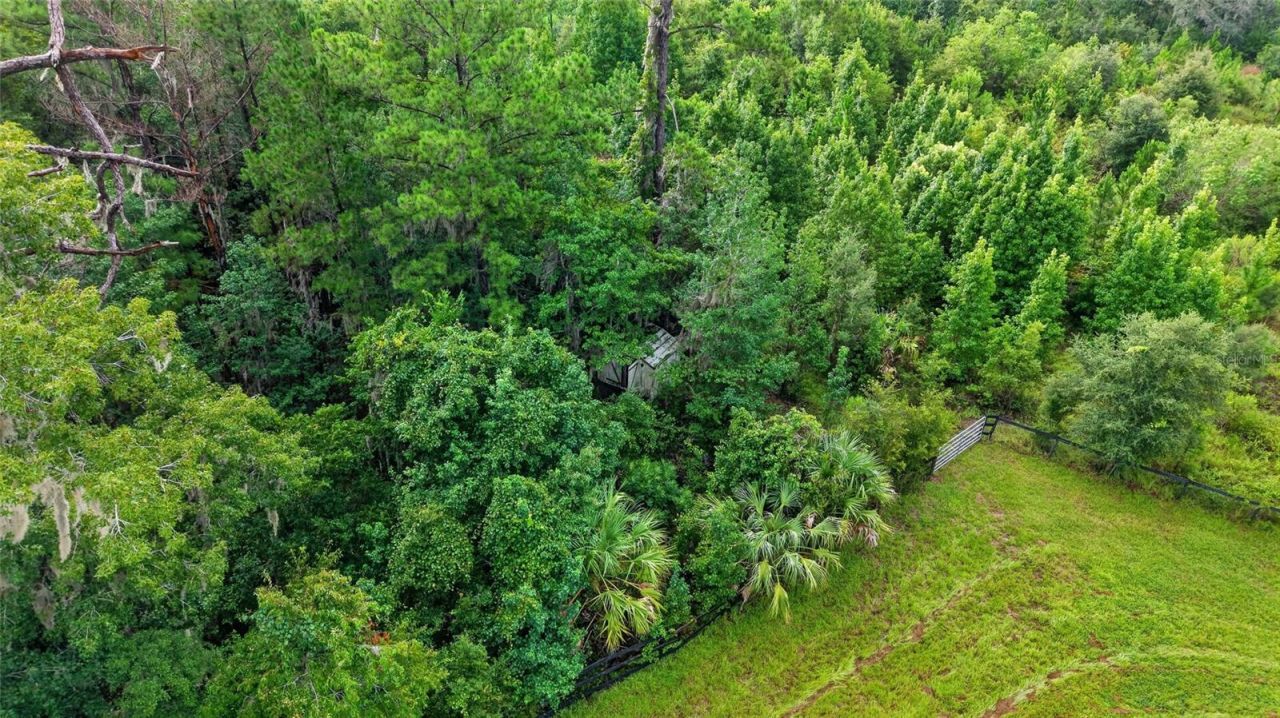 15958 W Hwy 318, Williston, FL 32696 Photo