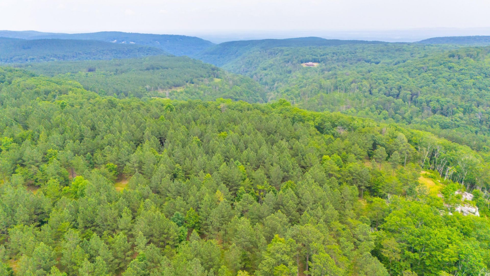 0 Worley Road , Lot #Lot 33, Soddy Daisy, TN 37379 Main Photo