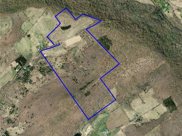 1371 Oak Hill Road, Franklin, NY 13775
