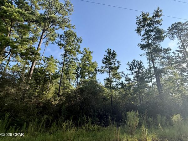 Lot 4 Black Hills Street , Alford, FL 32420