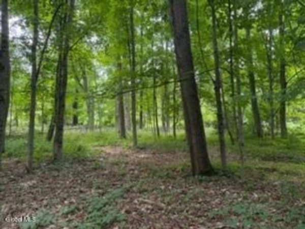 5 Frasier Road, Greenfield Center, NY 12833