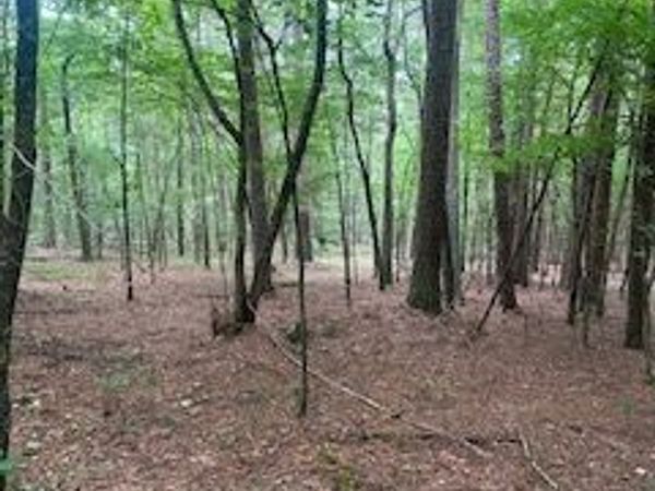 TBD CR 5211 , Oark, AR 72852