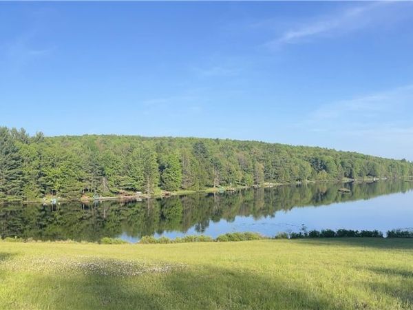 103 Blueberry Drive, Deposit, NY 13754