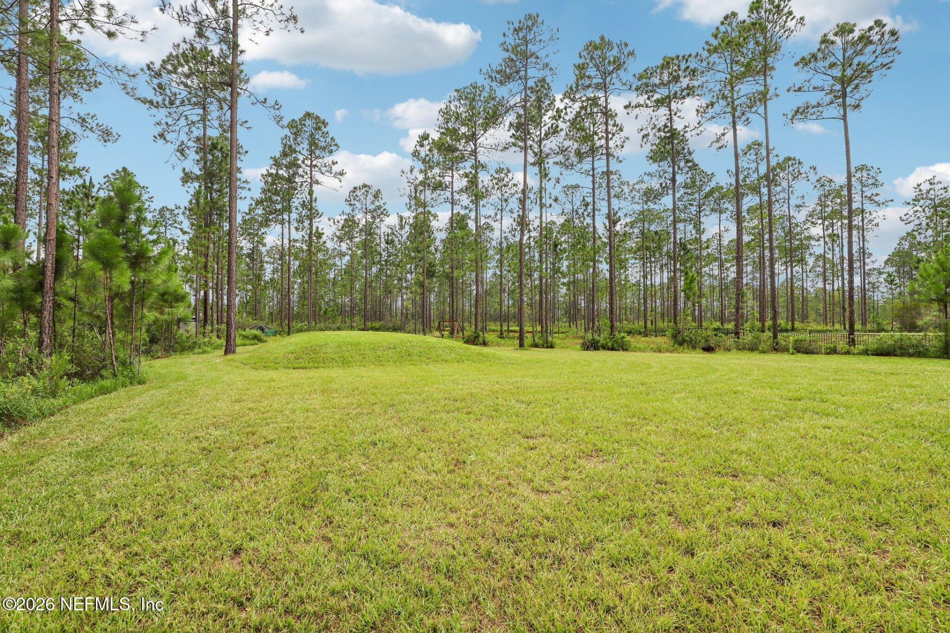 36265 Sugar Court, Hilliard, FL 32046 Photo
