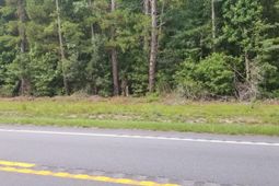 0 Augusta Highway photo 4