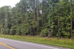 0 Augusta Highway photo 4