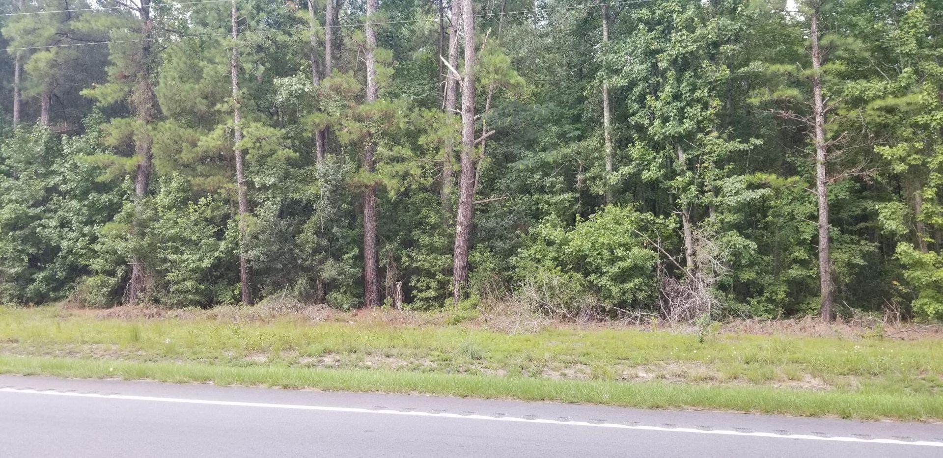 0 Augusta Highway Photo 4
