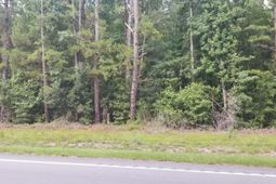 0 Augusta Highway photo 4