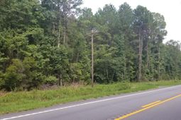 0 Augusta Highway photo 4