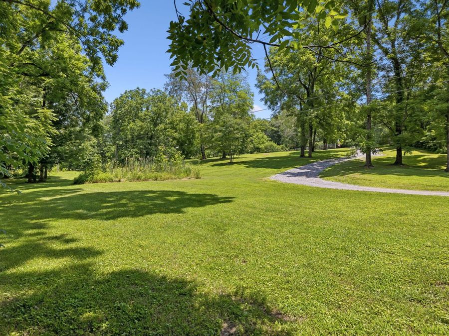 Property Image 46