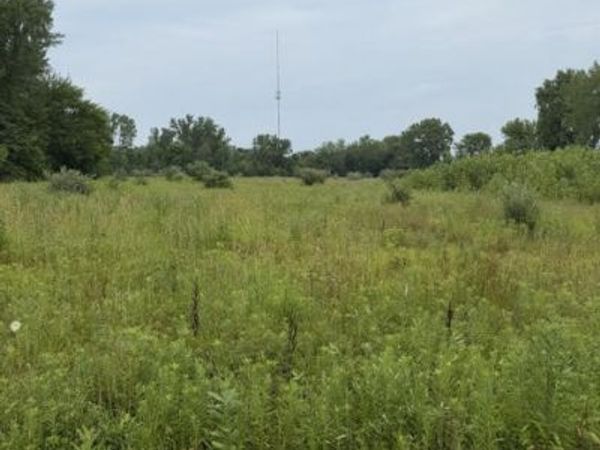 W. Linco Road - Parcel #1-A, Stevensville, MI 49127