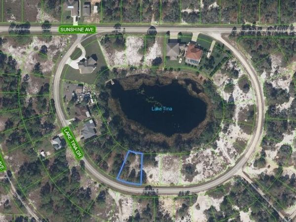 659 LAKE TINA DRIVE , LAKE PLACID, FL 33852