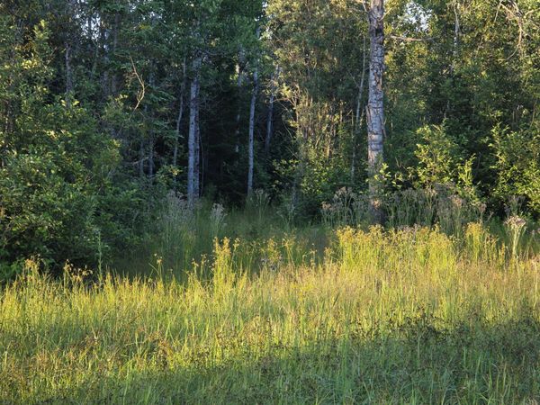 0 S Bound RD, Rudyard, MI 49780