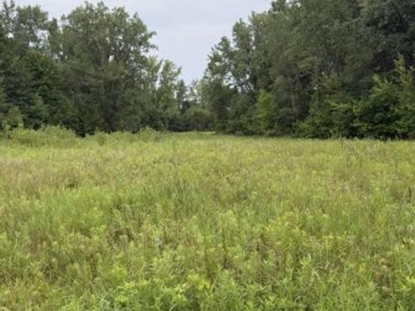 W. Linco Road - Parcel #2-B, Stevensville, MI 49127