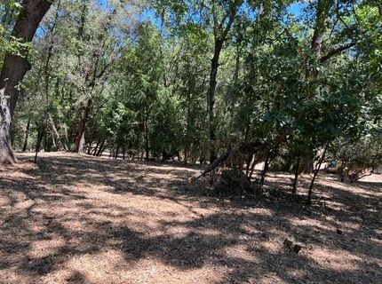 2930 Clay St, Placerville, CA 95667 Photo