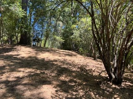 2930 Clay St, Placerville, CA 95667 Photo