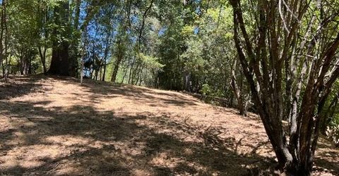 2930 Clay St, Placerville, CA 95667 Photo