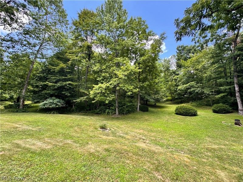 3239 Salineville Road NE, Carrollton, OH 44615 Photo 17