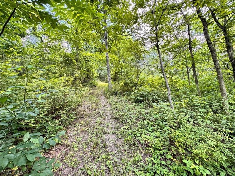 3239 Salineville Road NE, Carrollton, OH 44615 Photo 19