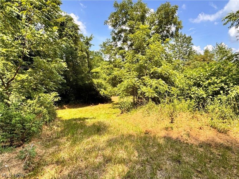 3239 Salineville Road NE, Carrollton, OH 44615 Photo 34