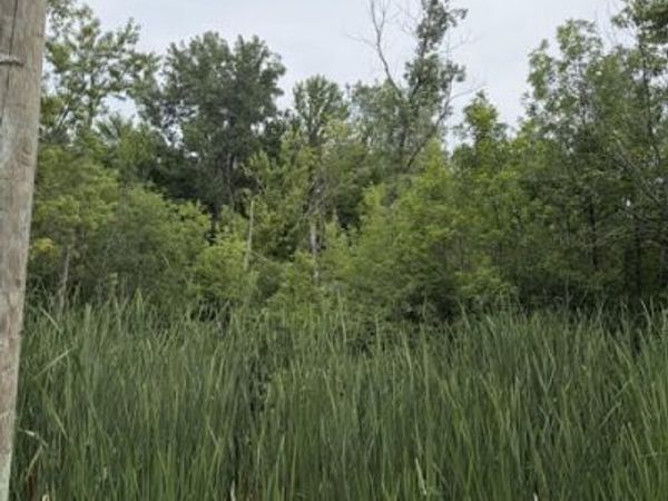 W. Linco Road - Parcel #3-C, Stevensville, MI 49127