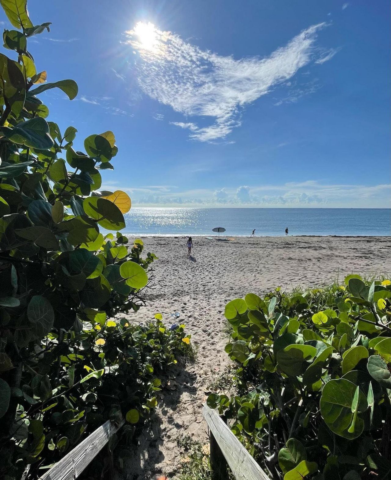 14 Colonial Club Drive, Unit 300, Boynton Beach, FL 33435 Photo