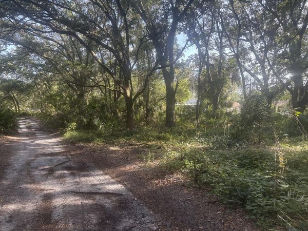 503 Pershing Avenue, Lake Placid, FL 33852