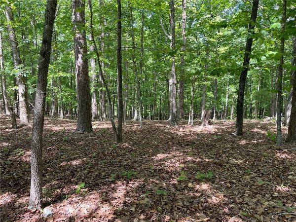 TR 1A Chalcrest Way , Cave Spring, GA 30124