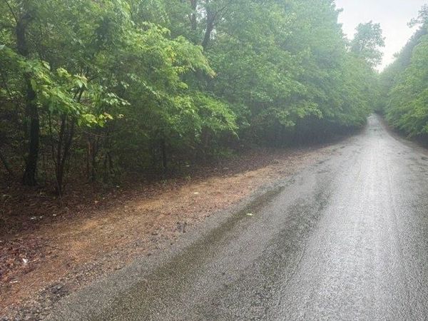 TRACT 7 KING RD, Medon, TN 38356