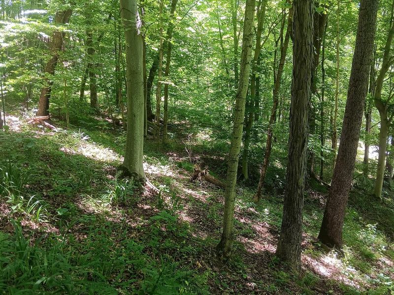 0 Keystone Road , Unit (Creekview, Vinton, OH 45686 Photo 14
