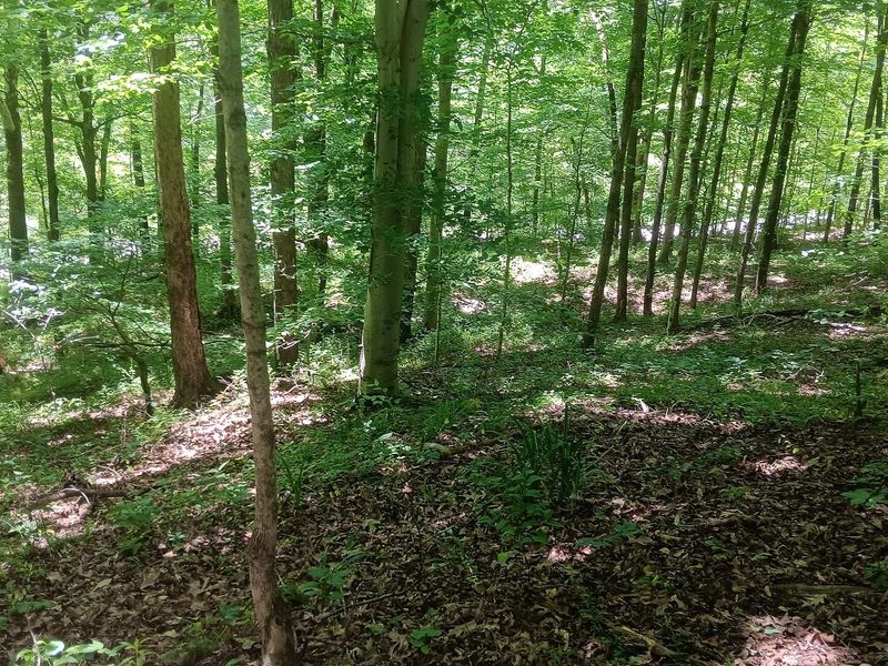 0 Keystone Road , Unit (Creekview, Vinton, OH 45686 Photo 15